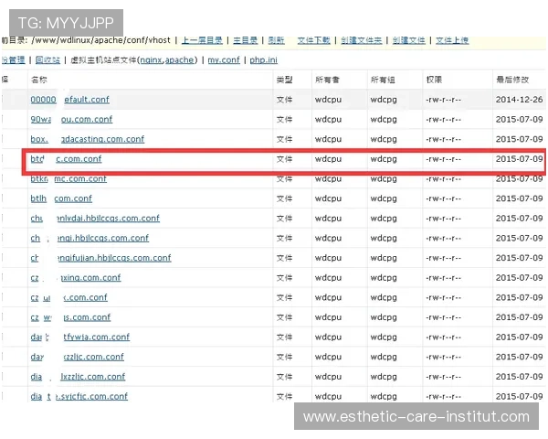 凯时网址登录线路最新优化方案确保玩家顺畅体验全方位指南